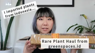 Houseplant Haul from greenspaces.id - I've been searching for these rare plants for so long!!!