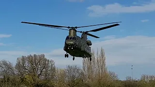 Chinook practising on the field at work today  ... and a nice wave from the Loadie as they departed