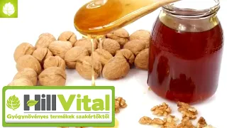 A mézes dió elképesztő hatásai 🍯 - HillVital