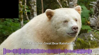 Season 2/ Episode 9: Ian McAllister's Great Bear Rainforest