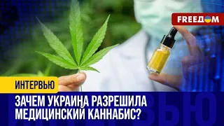❗️❗️ В Украине ЛЕГАЛИЗОВАЛИ медицинский каннабис. ПОЧЕМУ это ВАЖНО? РАЗБОР
