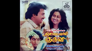 Raja Raja Chozhan Naan :: Rettai Vaal Kuruvi : Remastered audio song