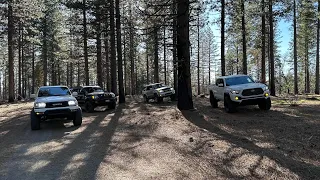 Sour Grass 4x4 Trail CA | Toyotas | May 2024 | @Nomore246