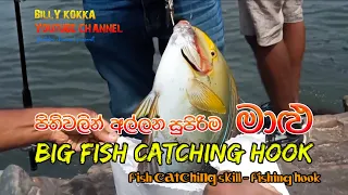 පිතිවලින් අල්ලන මාළු,එක දිගටම වීඩියෝ පෙළක් - Catching fish with fishing rods, a series of videos