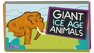 5 Giant Ice Age Animals | Natural History for Kids