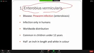 Worm Infestation | 3rd Year | Infectious Diseases Module | Microbiology
