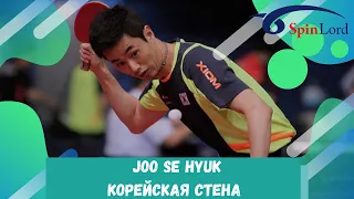 Корейская стена в настольном теннисе - Joo Se Hyuk