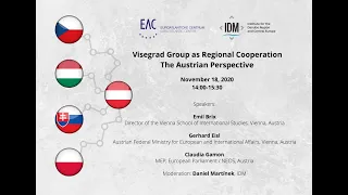 Visegrad Group as Regional Cooperation: the Austrian Perspective