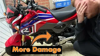 I SHOULDN’T have bought this AUCTIONED Honda Grom