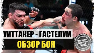 В ОДНУ КАЛИТКУ! Роберт Уиттакер - Келвин Гастелум I ОБЗОР БОЯ на UFC Vegas 24