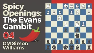 04. Spicy Openings! The Evans Gambit : Gambit Denier_ Punish The Meek man BY Chess.com