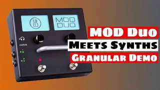 MOD Duo Effect Pedal Meets Synths - Granular Soundscape | SYNTH ANATOMY