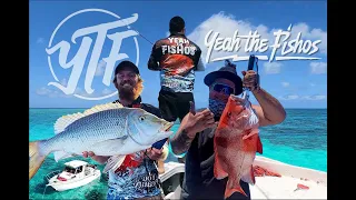 Agnes Water 1770 3 day trip reef part 2 battling the sharks catching trout red emperor with friends