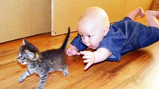 Funniest Baby And Cat - Funny Baby Videos