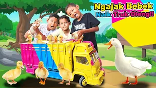 Praya Main Truk Oleng 🚚 Bawa Bebek Lucu Jalan Jalan Naik Truk Nemu Egg Surprise🦆🐣