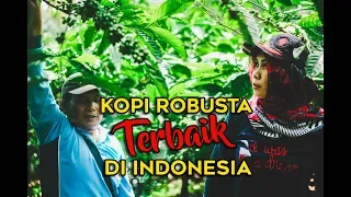 Desa Penghasil Kopi Robusta Terbaik Di Indonesia