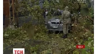 Двоє загиблих, 5 травмованих, повалені дерева та крани: Одеса страждає від шторму