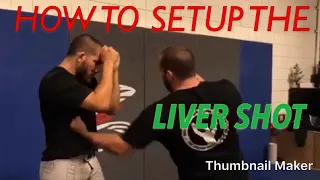 How to Setup and Land a Liver Shot