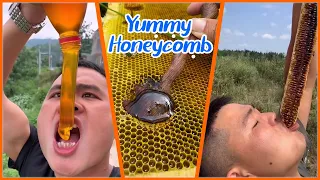 ABS Honey BEE | Best HoneyComb Eating ASMR | Eating Honeycomb 🎖️35