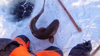 Проверка тычек на налима 2021. Зимняя рыбалка в -55 Якутия