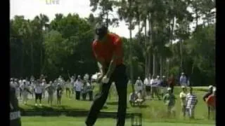 Tiger Woods Swing Vision 3 Wood Final Round Players Championship 2009