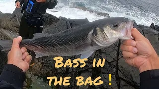Lure fishing for Bass | savage gear seeker