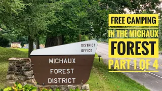 Free Camping at Michaux State Forest in PA, Part 1 of 4