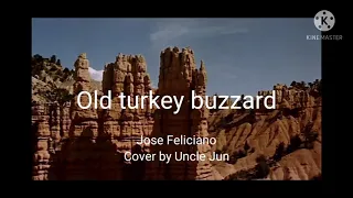 Old turkey buzzard