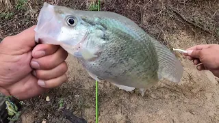 (March 2024) The Crappie SPAWN BITE was on Fire during the rain!