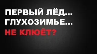 НИКТО НЕ УЗНАЕТ ПРО ПРИЧИНЫ БЕСКЛЕВЬЯ. КАКИЕ ПРИКОЛЫ ПЕРВОЛЕДЬЯ и почему не КЛЮЕТ | SeMano TV