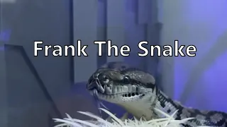 Frank The Snake