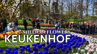 Keukenhof 🌷 7 Million Flowers 🌷 Full Tour of Keukenhof Gardens