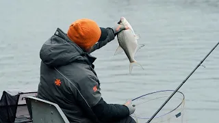 Ловля Леща Зимой! Настин Вызов и Кто Победил?! Патерностер. Серия 21. /Bream Feeder Fishing/