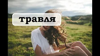 травля