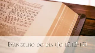 Evangelho do dia (Jo 15,12-17)