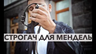 Строгач для Юлії Мендель, з поясненням за що