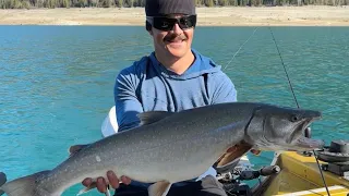 BC BULL TROUT 2024