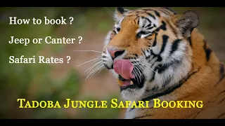 How to book safari online | Tadoba Jungle Safari | Tadoba National Park | Canter Safari