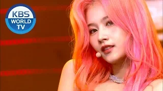 TWICE(트와이스) - Feel Special [Music Bank COMEBACK / 2019.09.27]