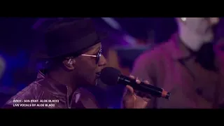 Avicii Tribute Concert 2019 - SOS (Aloe Blacc LIVE)