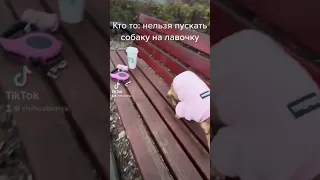 Когда говорят что нельзя пускать собаку на лавочку