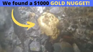 Record $1000 GOLD NUGGET, our biggest gold by far!!!