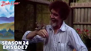 Bob Ross - Back-Country Path (Season 24 Episode 7)