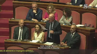Luigi Nave M5S - Intervento aula del Senato 18/07/2023