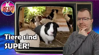 Die 20 freundlichsten Tiere der Welt | Schraubsel Reacts