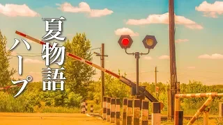 夏の物語が始まりそうな、癒しの音楽【リラックスBGM】