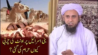 Why Camel fat was forbidden for bani Israel ? - Mufti Tariq Masood  اونٹ کی چربی حرام کیوں تھی ؟