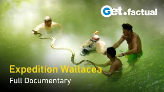 Expedition Wallacea - Indonesia Documentary