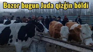 Beshariq mol bozori sigirlar va ģunajinlar narhlari bilan tanishing 24.03.2024yil