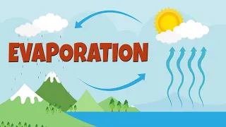 What is evaporation  | How salt is made | Evaporation process & facts | Evaporation video for kids